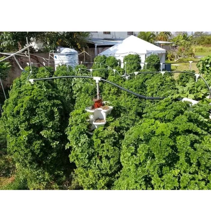 large plants with 3 tower DIY kit