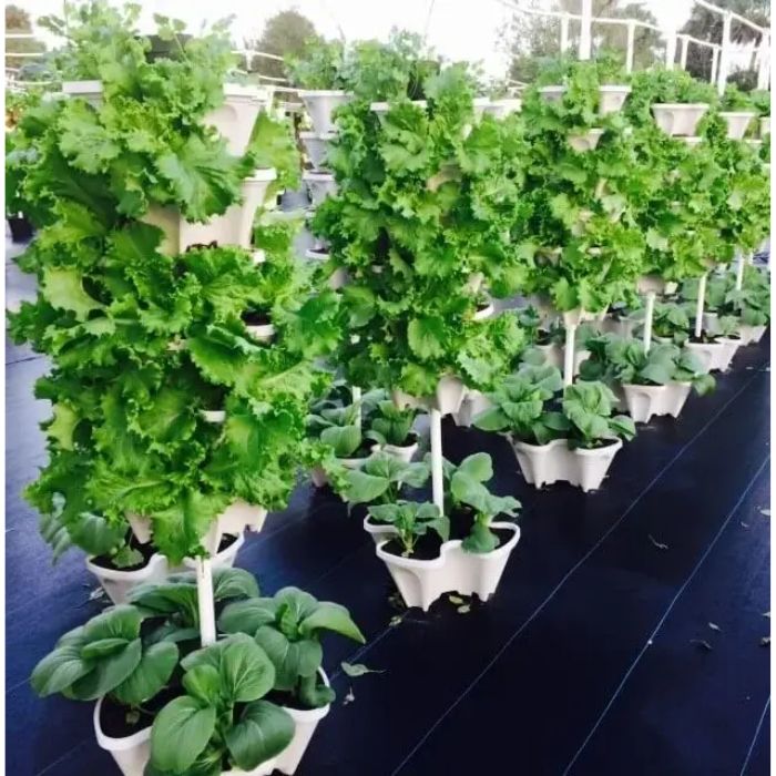 multiple smart tower kit with green vegetables