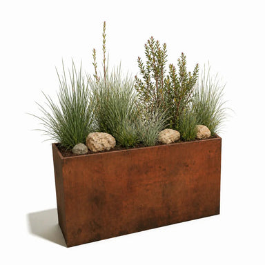 plants in the Corten Steel Sentinel Garden Planter Pot Range