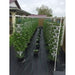 residential farming