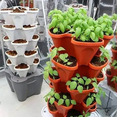 showing white and terracotta colours