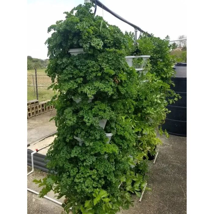 tall green plant in the 3 tower smart farm
