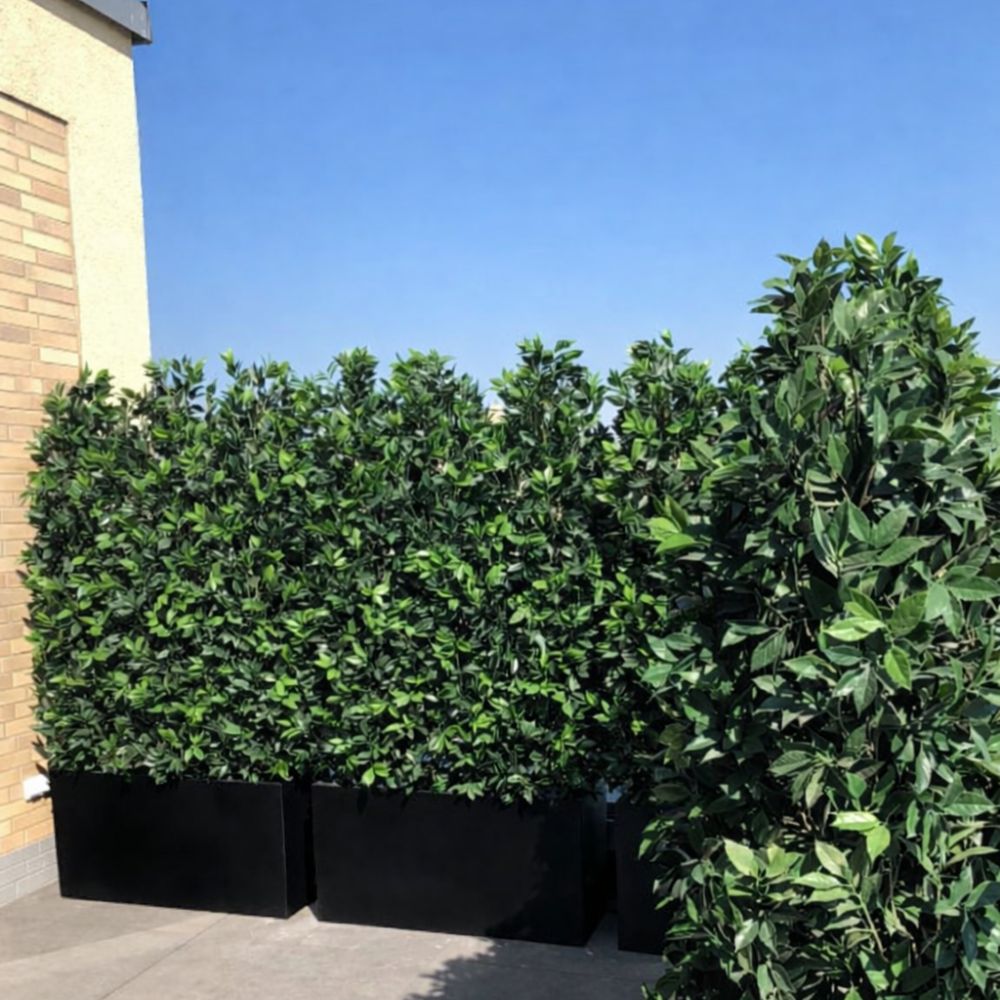 tall tree with Corten Steel Sentinel Garden Planter Pot Range