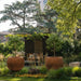 two Corten Steel Botanic Bulbs Tree Planter
